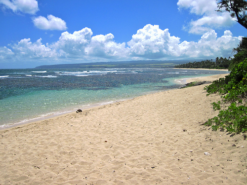 Hawaiia Beach